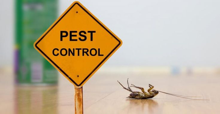 Natural Pest Control